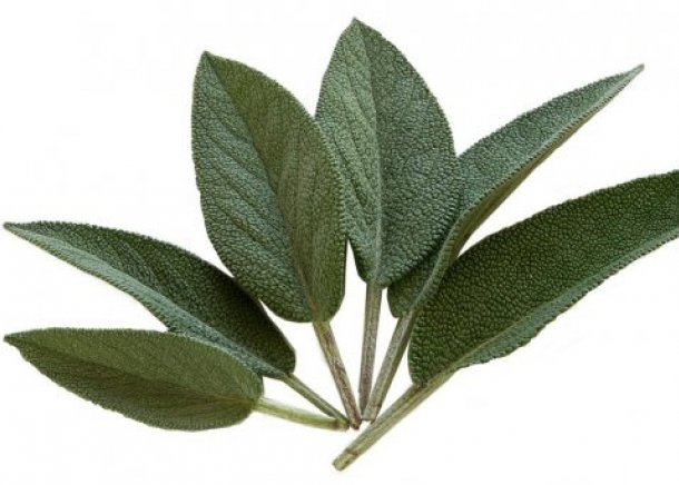 gallery/7e2bb7c0d482f795a944f748516ec271